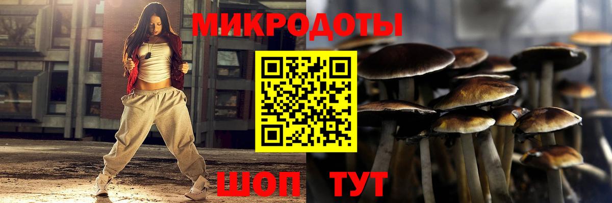 Псилоцибиновые грибы ЛСД Алексин