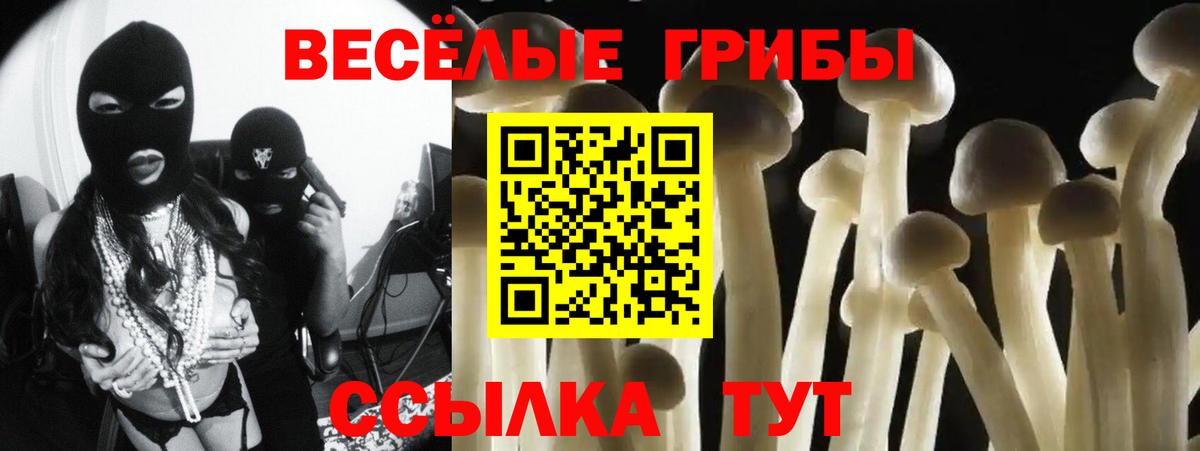 Галлюциногенные грибы прущие грибы  Вход с VPN  Алексин 